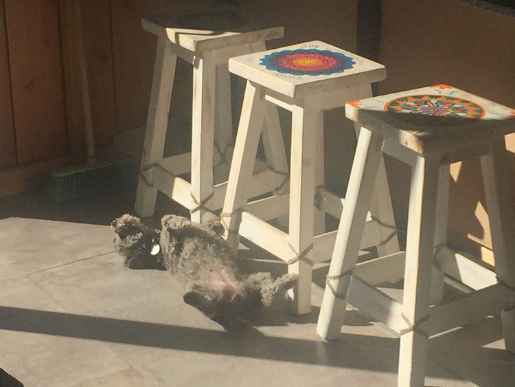 Hava Khana I - foto 11