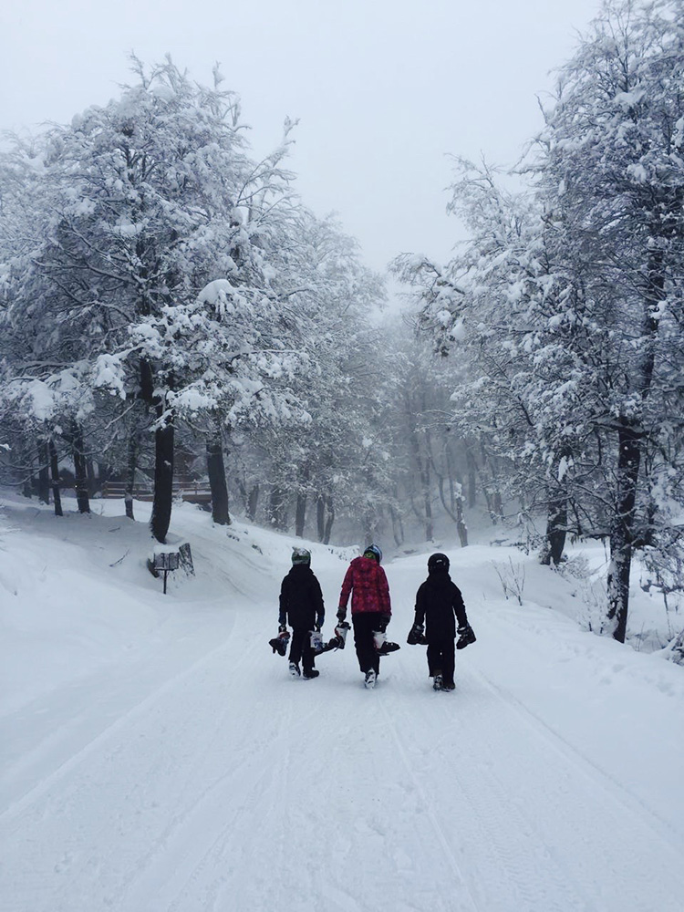 Hava Khana II - foto 18