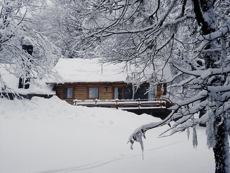 Los Carpinteros - foto 2