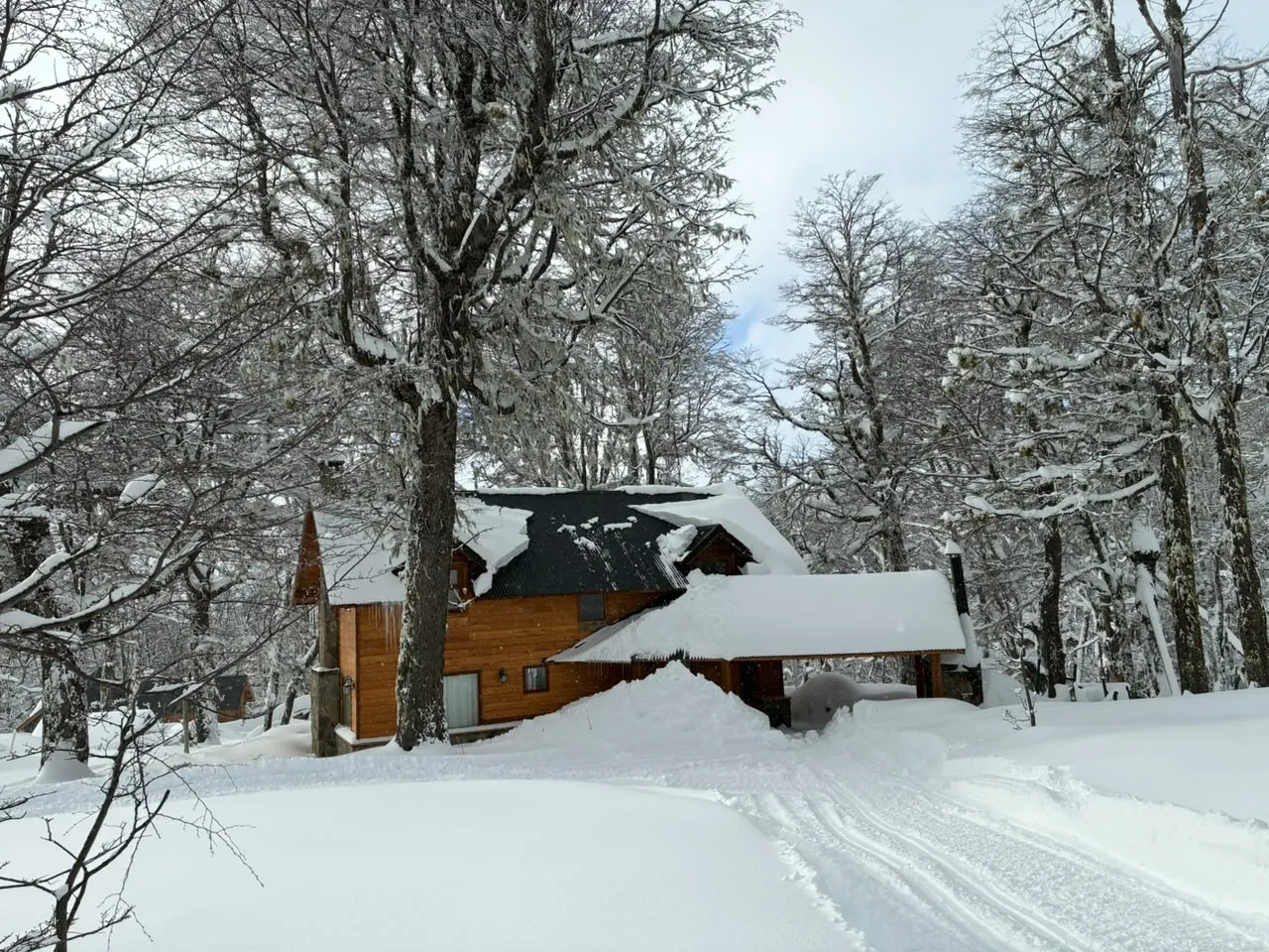 Cabaña Los Lupinos