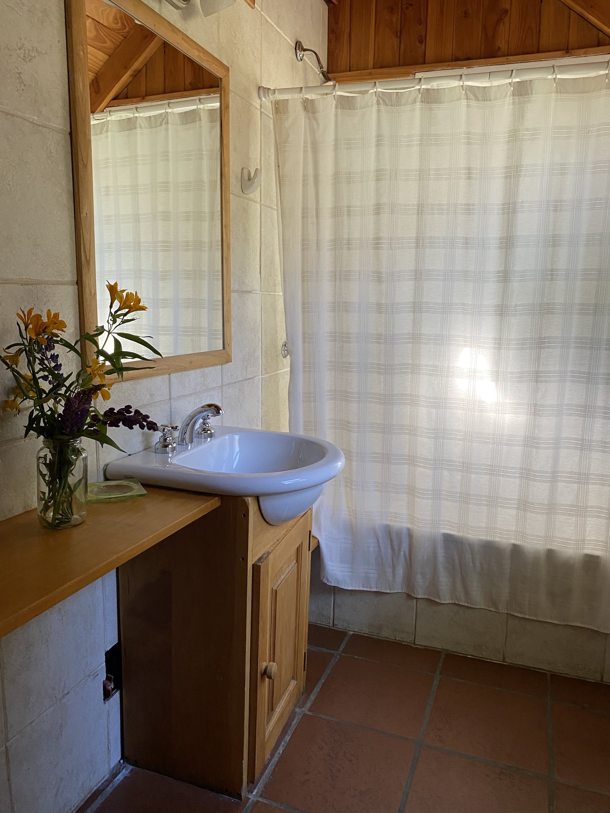 Los Lupinos - foto 12