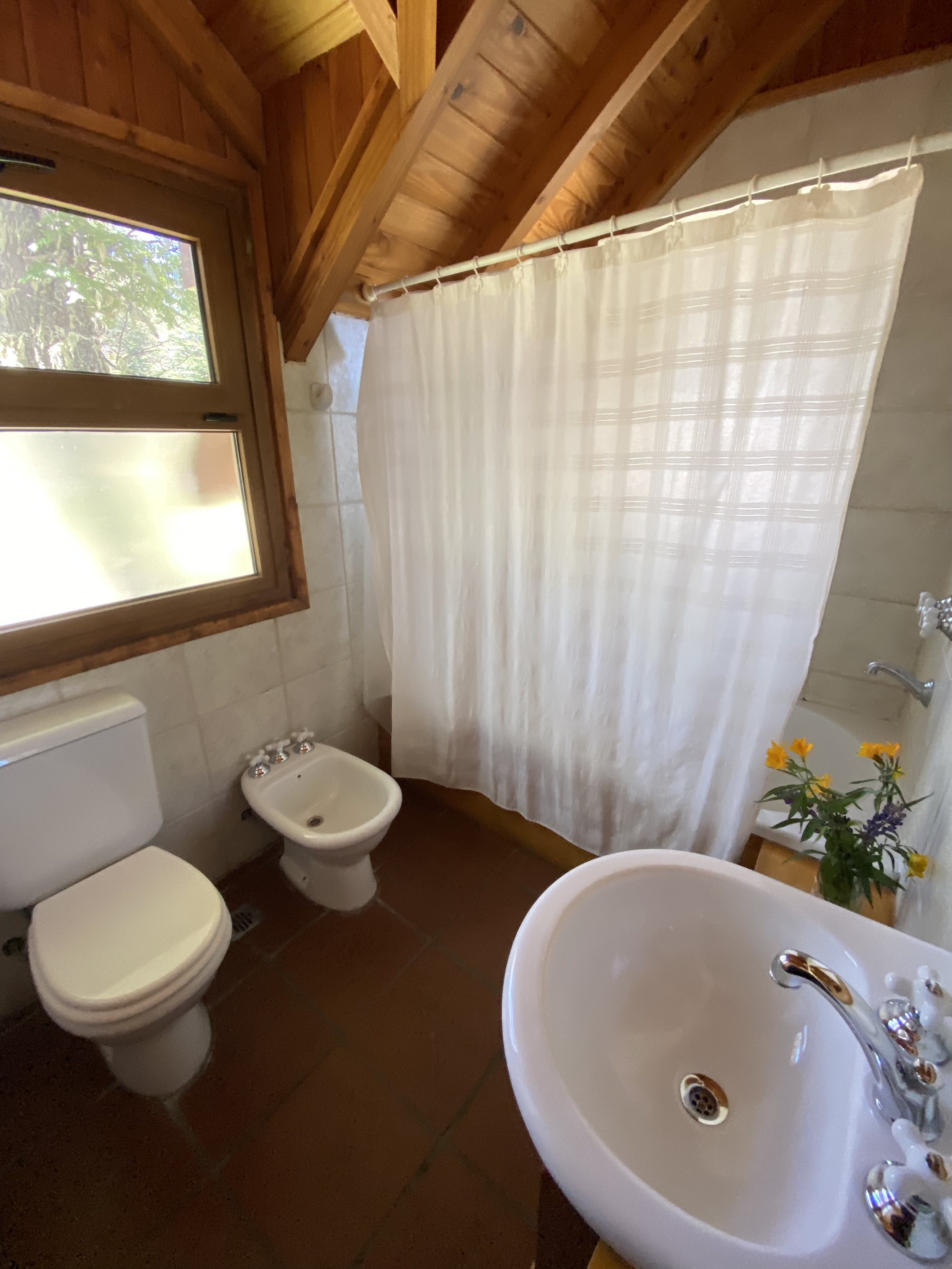 Los Lupinos - foto 15