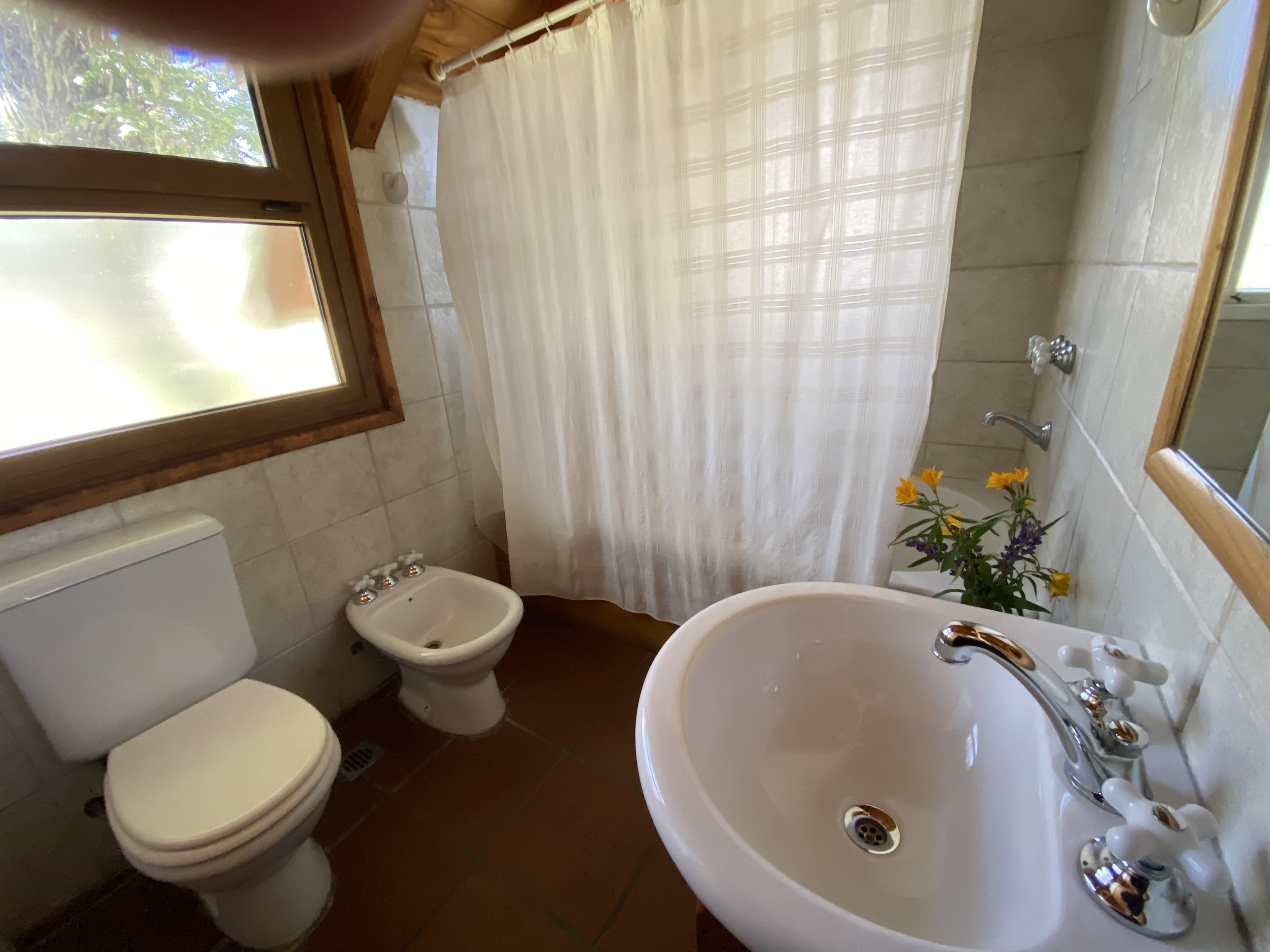 Los Lupinos - foto 16