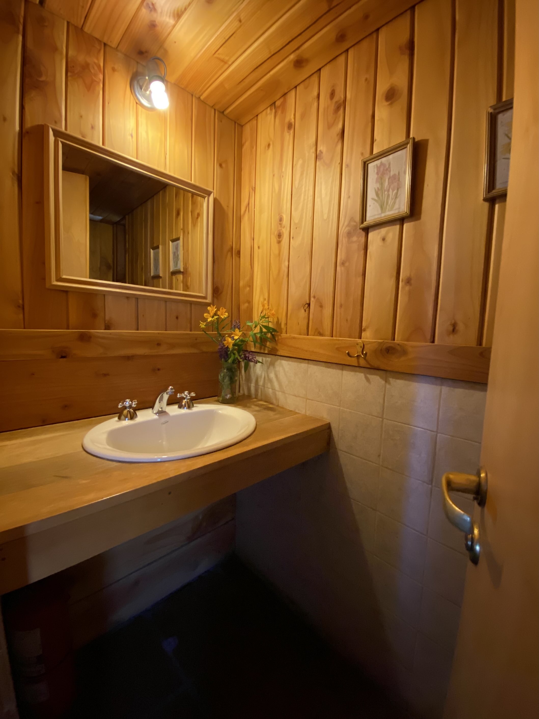 Los Lupinos - foto 23