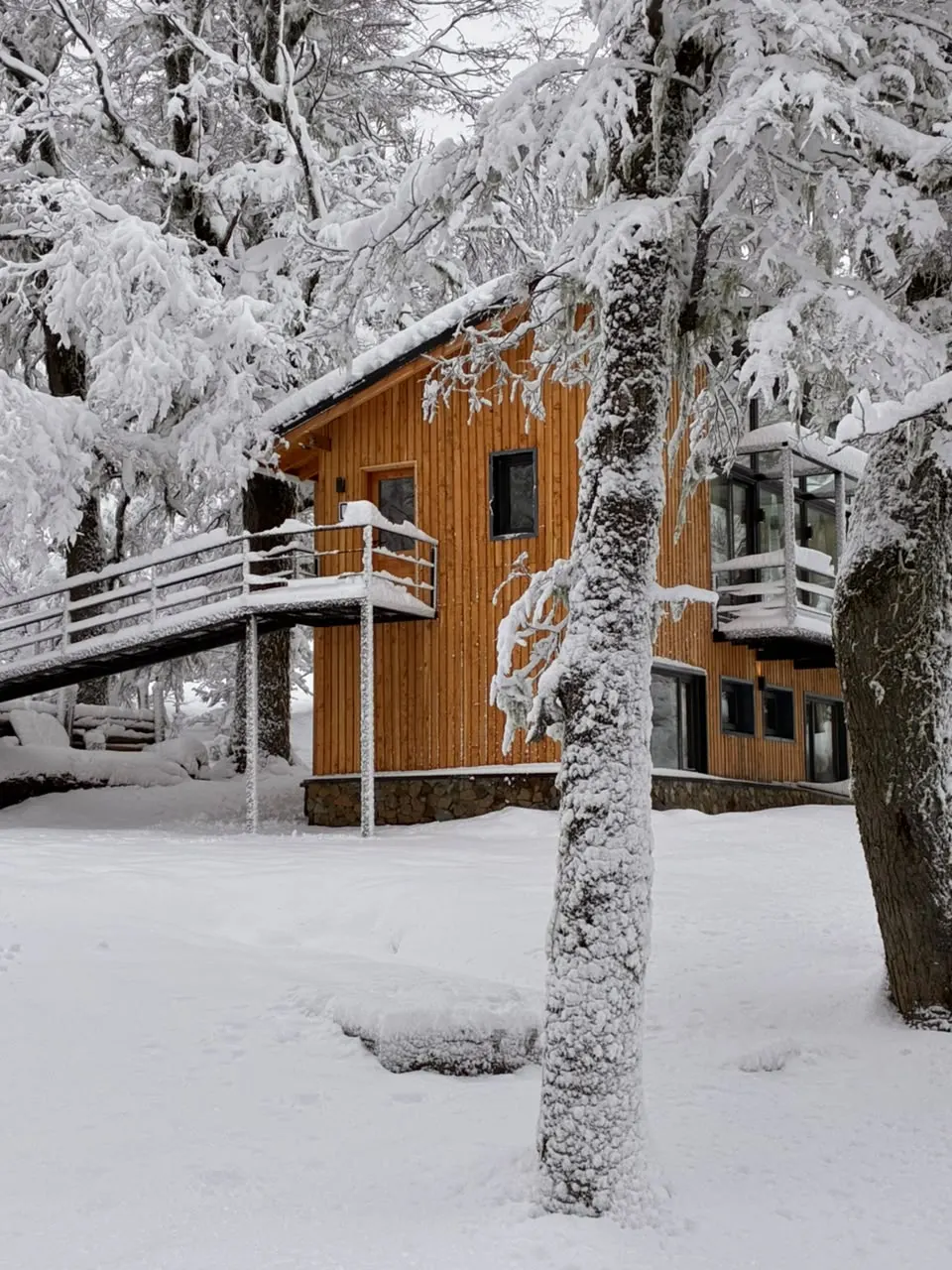 Northwoods 3 y 4 - foto 5
